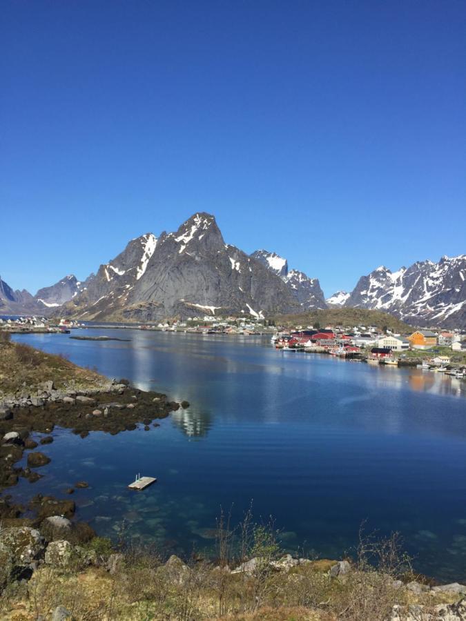 Madelhea Cabin- Seaview Lodge Reine Esterno foto