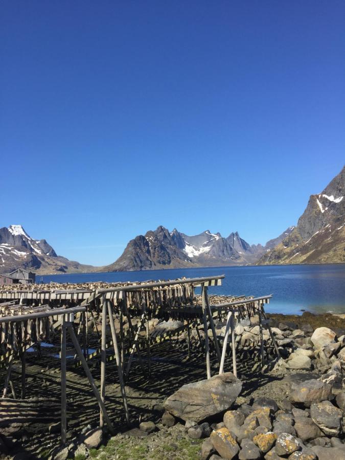 Madelhea Cabin- Seaview Lodge Reine Esterno foto